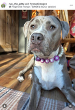 Load image into Gallery viewer, PERSONALIZED Violet Daisy Bead Collar