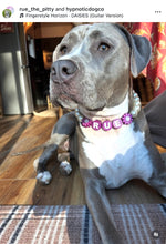 Load image into Gallery viewer, PERSONALIZED Violet Daisy Bead Collar