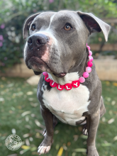 Load image into Gallery viewer, PERSONALIZED Pink Glitter Supernova Bead Collar