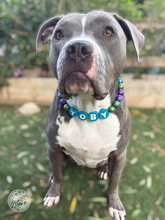 Load image into Gallery viewer, PERSONALIZED Rainbow Stardust Acrylic Bead Collar