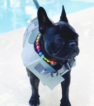 Load image into Gallery viewer, Rainbow 🌈  MINI Acrylic [Small Dog/Cat Bead Collar]