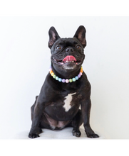 Load image into Gallery viewer, Pastel Rainbow MINI Acrylic [Small Dog/Cat Bead Collar]