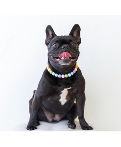 Pastel Rainbow MINI Acrylic [Small Dog/Cat Bead Collar]