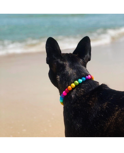 Rainbow 🌈  MINI Acrylic [Small Dog/Cat Bead Collar]