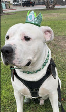 Load image into Gallery viewer, Poseidon Green Bead Collar
