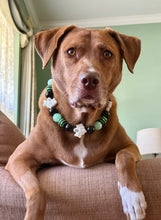 Load image into Gallery viewer, Ghostly Glow 👻 Bead Collar
