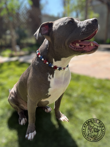 Stars & Pearls Bead Collar [Decorative Only]