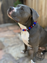 Load image into Gallery viewer, Star Spangled Bead Collar