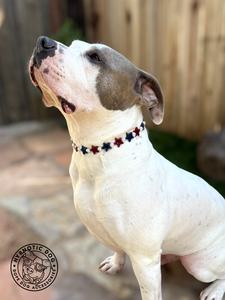 Stars & Pearls Bead Collar [Decorative Only]