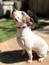 Load image into Gallery viewer, Star Spangled Bead Collar