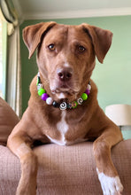Load image into Gallery viewer, Beetlejuice Bead Collar