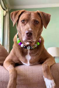 Beetlejuice Bead Collar