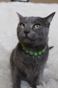 Citrus Green MINI Acrylic [Small Dog/Cat Bead Collar]