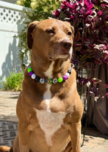 Load image into Gallery viewer, Beetlejuice Bead Collar