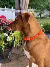 Load image into Gallery viewer, Orange Ombre Acrylic Bead Collar