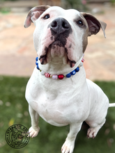 Load image into Gallery viewer, Firecracker ⭐️ Bead Collar