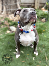 Load image into Gallery viewer, Firecracker ⭐️ Bead Collar
