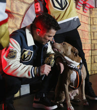 Load image into Gallery viewer, 🏒 "VGK" Vegas Golden Knights NHL Inspired Bead Collar