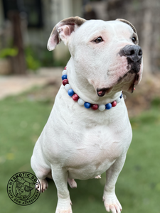Red, White, & Blue Resin Bead Collar