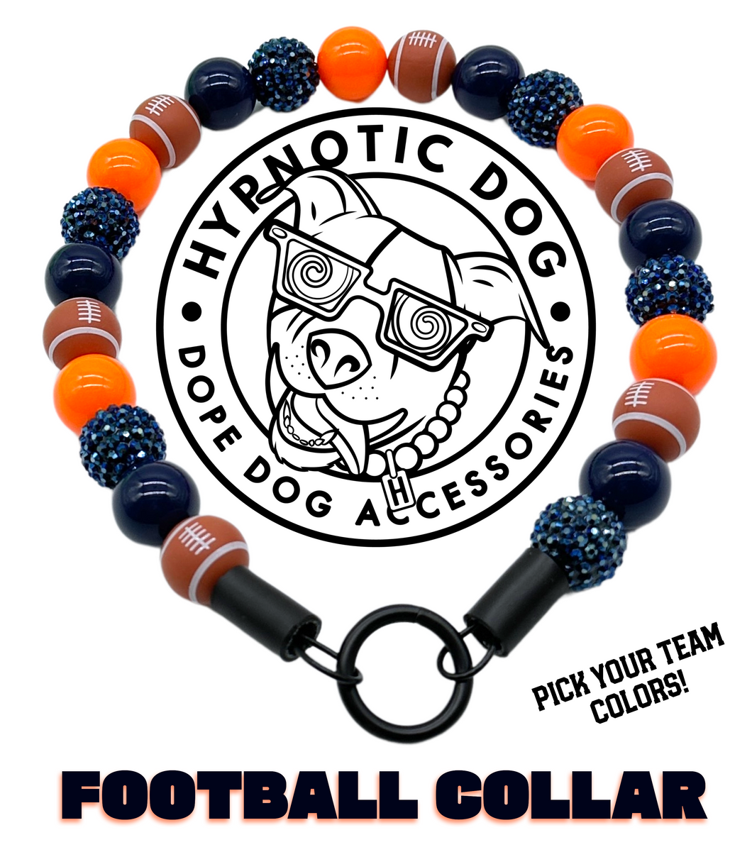 🏈 Football NFL Team Colors Bead Collar