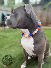 Load image into Gallery viewer, 🏀 Basketball NBA Team Colors Bead Collar