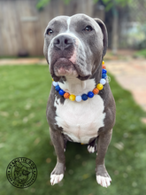 Load image into Gallery viewer, 🏀 Basketball NBA Team Colors Bead Collar