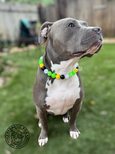Load image into Gallery viewer, 🥎 Softball Team Colors Bead Collar
