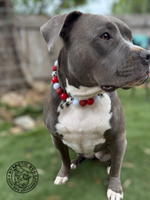 Load image into Gallery viewer, ⚽️ Soccer Team Colors Bead Collar