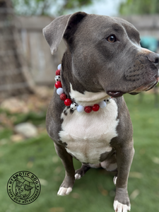 ⚽️ Soccer Team Colors Bead Collar