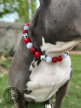 Load image into Gallery viewer, ⚽️ Soccer Team Colors Bead Collar