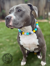 Load image into Gallery viewer, 🥎 Softball Team Colors Bead Collar