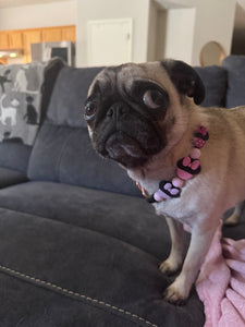 Bowtique 🎀 Bead Collar