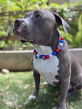 Load image into Gallery viewer, 🏒 Montreal Canadiens NHL Inspired Bead Collar