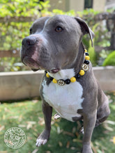 Load image into Gallery viewer, 🏒 Boston Bruins NHL Inspired Bead Collar