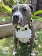 Load image into Gallery viewer, 🏒 Boston Bruins NHL Inspired Bead Collar