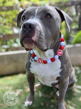 Load image into Gallery viewer, 🏒 Detroit Red Wings NHL Inspired Bead Collar