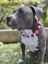 Load image into Gallery viewer, 🏒 Detroit Red Wings NHL Inspired Bead Collar