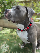 Load image into Gallery viewer, 🏒 Chicago Blackhawks NHL Inspired Bead Collar