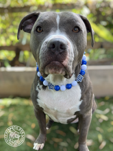 Load image into Gallery viewer, 🏒 Toronto Maple Leafs NHL Inspired Bead Collar