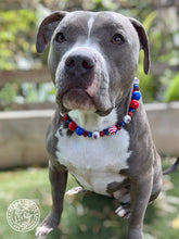 Load image into Gallery viewer, Midnight Fireworks Bead Collar