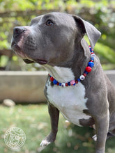 Load image into Gallery viewer, Midnight Fireworks Bead Collar