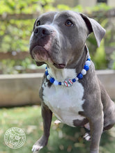 Load image into Gallery viewer, ⚾️ Los Angeles Dodgers MLB Inspired Bead Collar