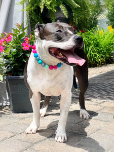 Margarita Splash Bead Collar