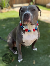 Load image into Gallery viewer, Chunky Red, White, &amp; Blue Pearls Acrylic Bead Collar