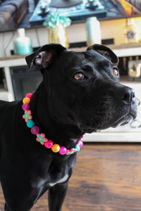 Retro Groovy 🌼 Bead Collar