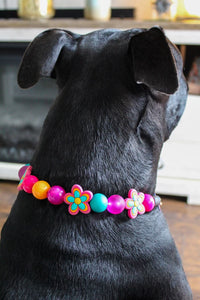 Retro Groovy 🌼 Bead Collar