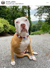 Load image into Gallery viewer, Americana Glam Bead Collar