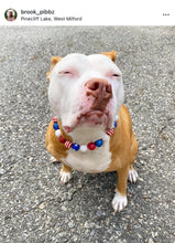 Load image into Gallery viewer, Americana Glam Bead Collar