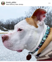 Load image into Gallery viewer, Mint Abstract Ceramic Bead Collar
