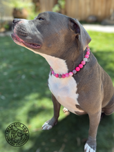Load image into Gallery viewer, Bubblegum Pink Agate Semi-precious Gem Bead Collar